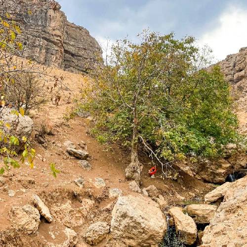 یه جای دور تو قلب دریا یه درخت رو صخره تو بین ابرا یه جایی